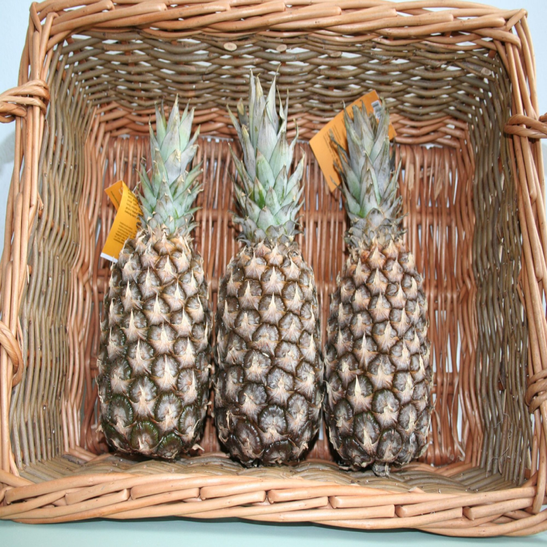 Wholesale Pineapple Kew – UAE 